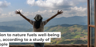 Across cultures, languages and economic systems, feeling connected to the natural world is consistently linked to living a more hopeful, purposeful and resilient life. nymphoenix/iStock via Getty Images Plus